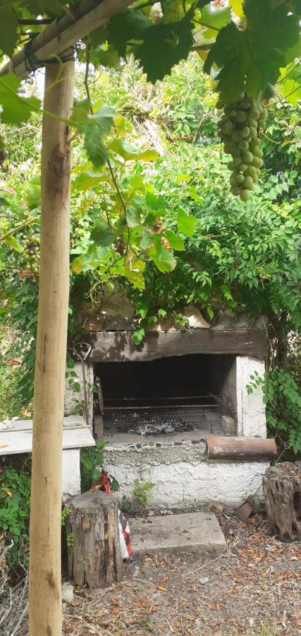 Il Vecchio Lentisco Apartment Alghero Ngoại thất bức ảnh